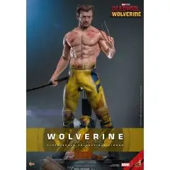 Wolverine (TVA Jacket Version) 1:6 Scale Figure - Hot Toys - Deadpool & Wolverine