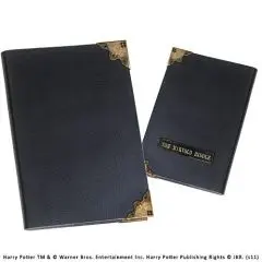 Harry Potter - Tom Riddle Diary