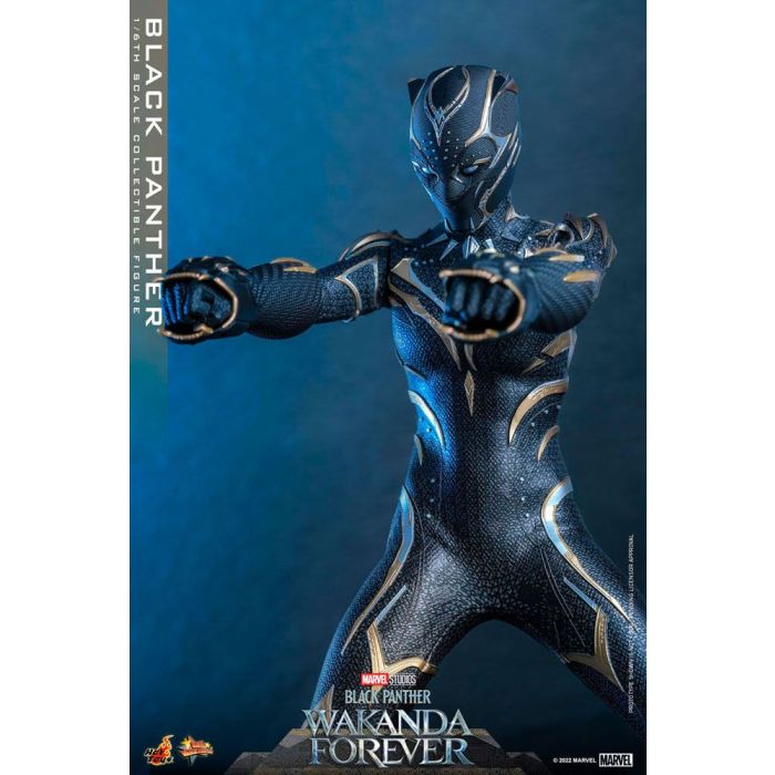 Black Panther 1:6 Scale Figure - Hot Toys - Black Panther Wakanda Forever