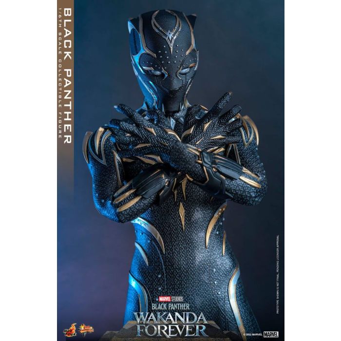 Black Panther 1:6 Scale Figure - Hot Toys - Black Panther Wakanda Forever