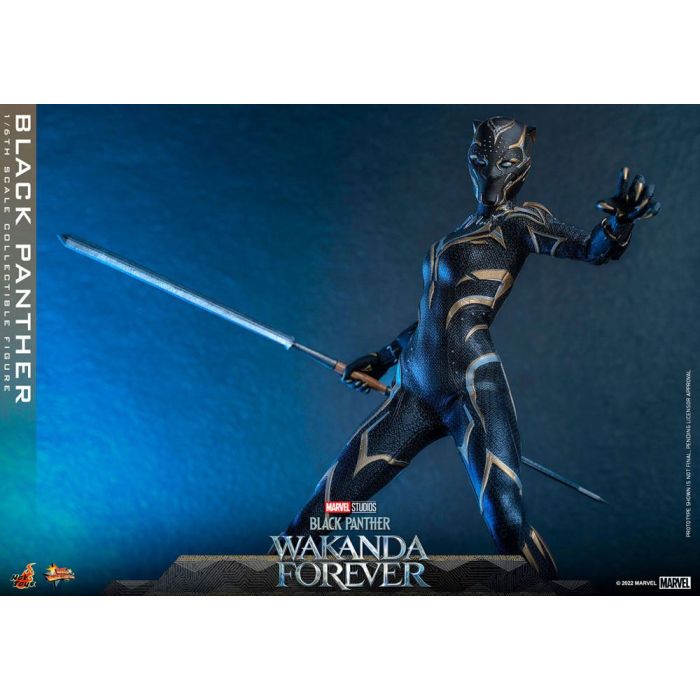 Black Panther 1:6 Scale Figure - Hot Toys - Black Panther Wakanda Forever
