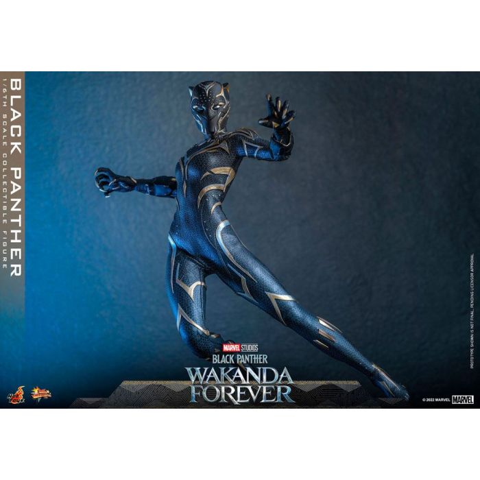 Black Panther 1:6 Scale Figure - Hot Toys - Black Panther Wakanda Forever