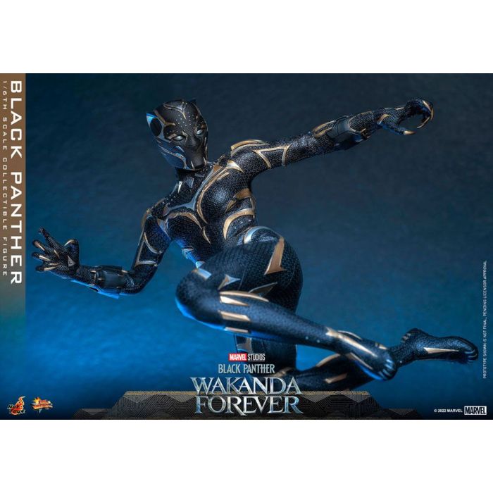 Black Panther 1:6 Scale Figure - Hot Toys - Black Panther Wakanda Forever