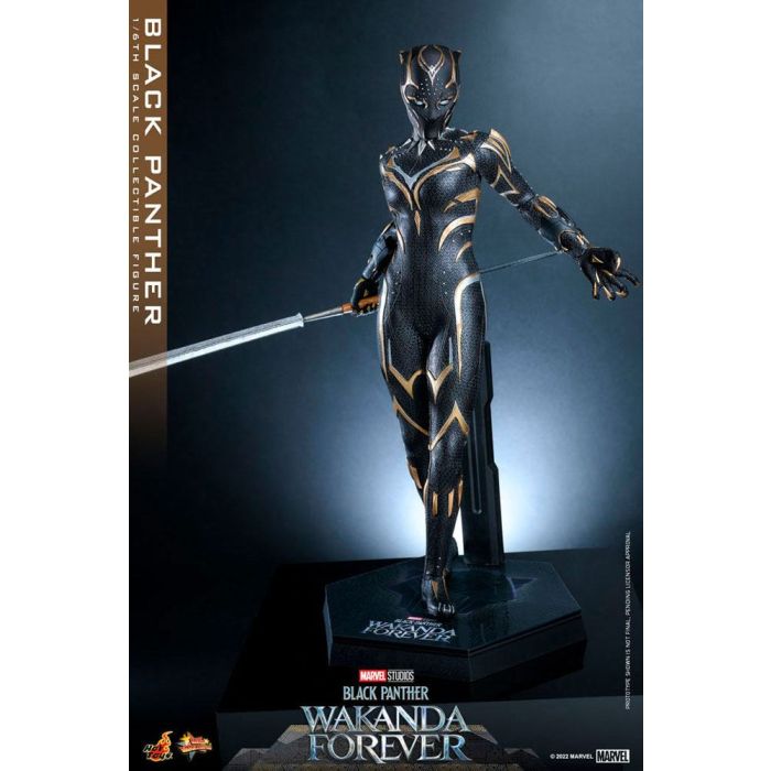 Black Panther 1:6 Scale Figure - Hot Toys - Black Panther Wakanda Forever