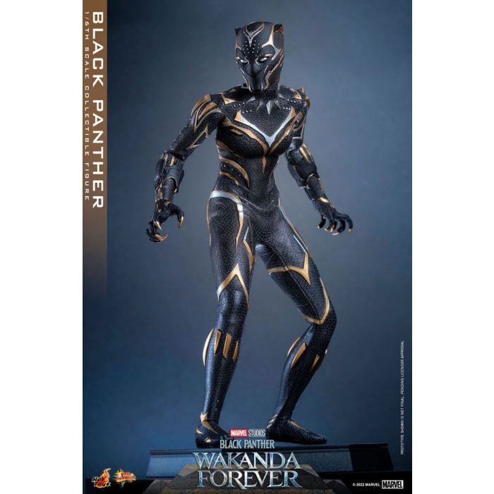 Black Panther 1:6 Scale Figure - Hot Toys - Black Panther Wakanda Forever