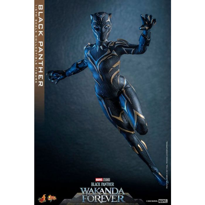 Black Panther 1:6 Scale Figure - Hot Toys - Black Panther Wakanda Forever