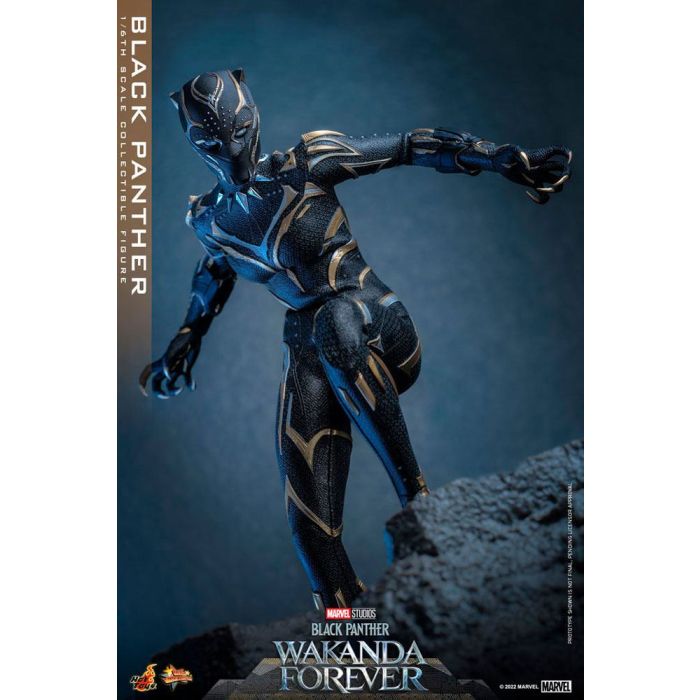 Black Panther 1:6 Scale Figure - Hot Toys - Black Panther Wakanda Forever