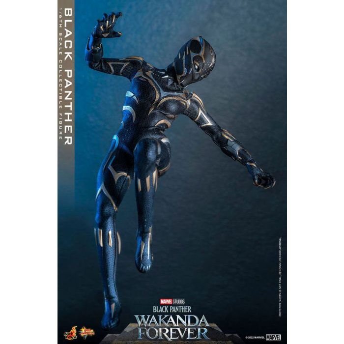 Black Panther 1:6 Scale Figure - Hot Toys - Black Panther Wakanda Forever
