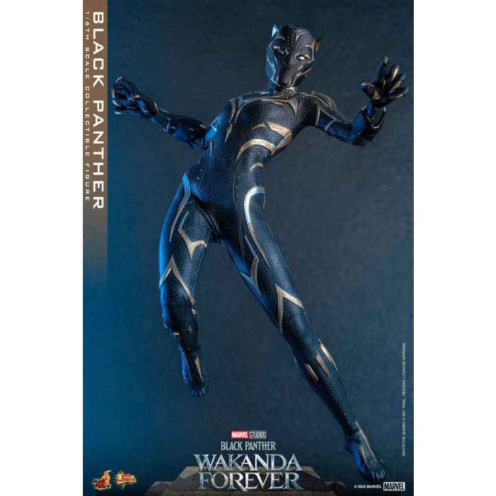 Black Panther 1:6 Scale Figure - Hot Toys - Black Panther Wakanda Forever