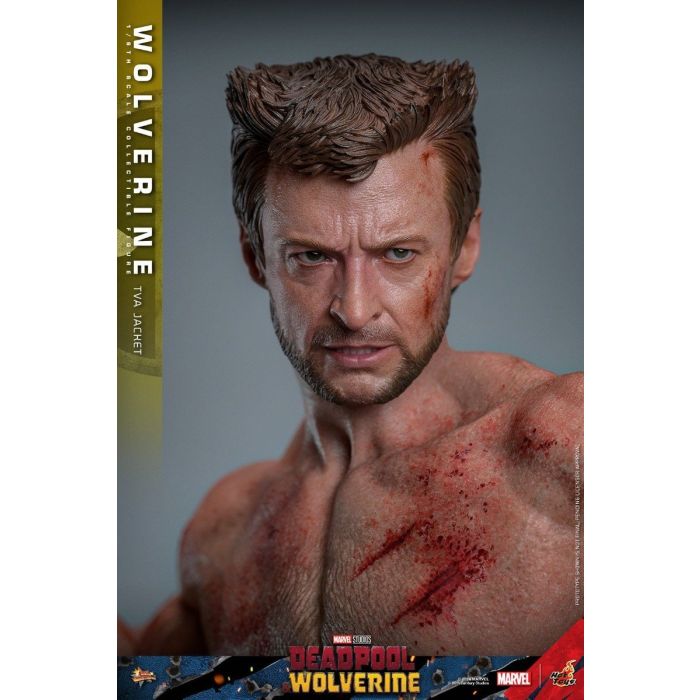 Wolverine (TVA Jacket Version) 1:6 Scale Figure - Hot Toys - Deadpool & Wolverine