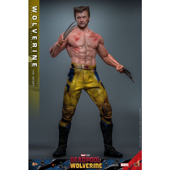 Wolverine (TVA Jacket Version) 1:6 Scale Figure - Hot Toys - Deadpool & Wolverine