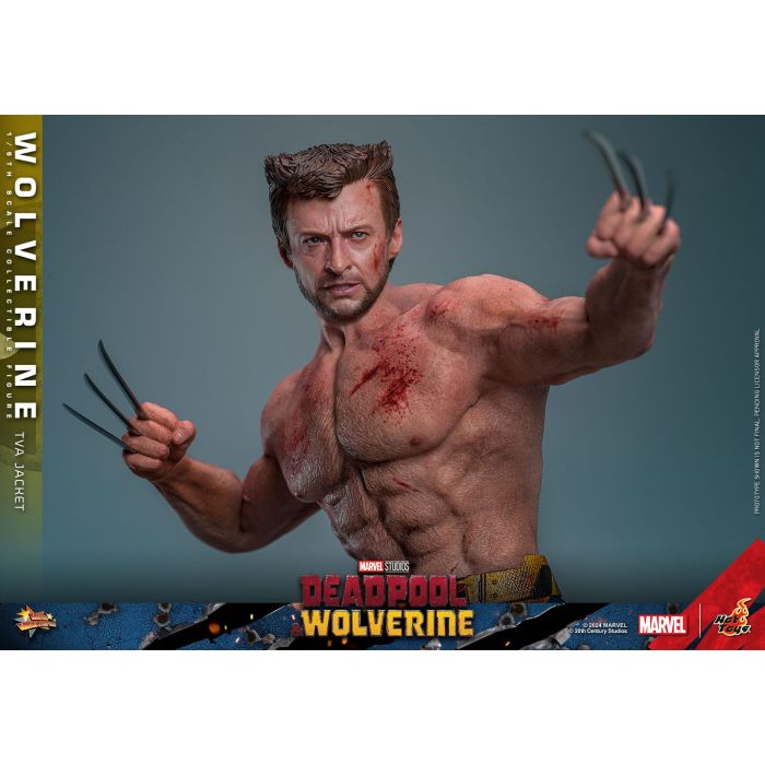 Wolverine (TVA Jacket Version) 1:6 Scale Figure - Hot Toys - Deadpool & Wolverine