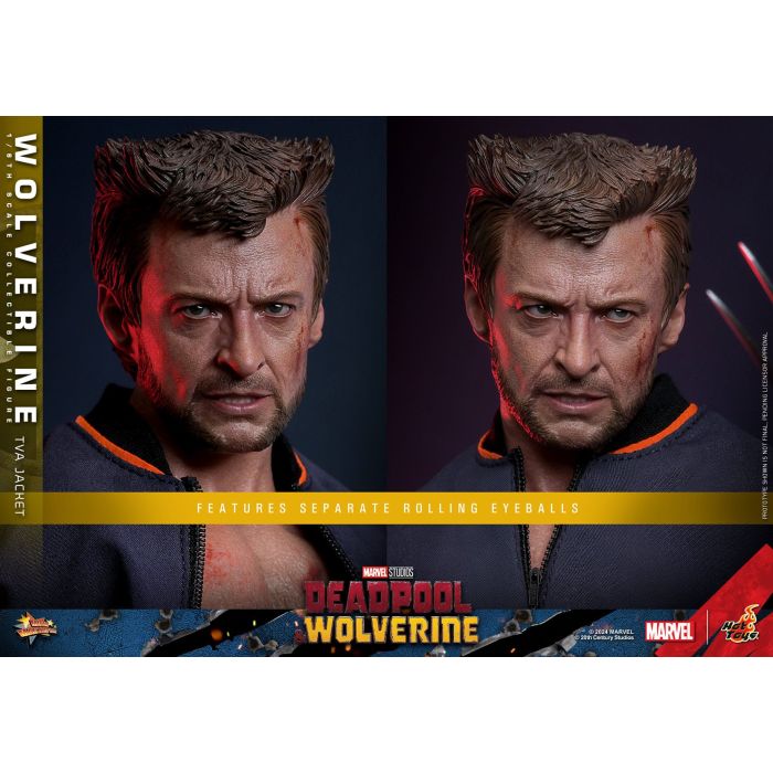 Wolverine (TVA Jacket Version) 1:6 Scale Figure - Hot Toys - Deadpool & Wolverine