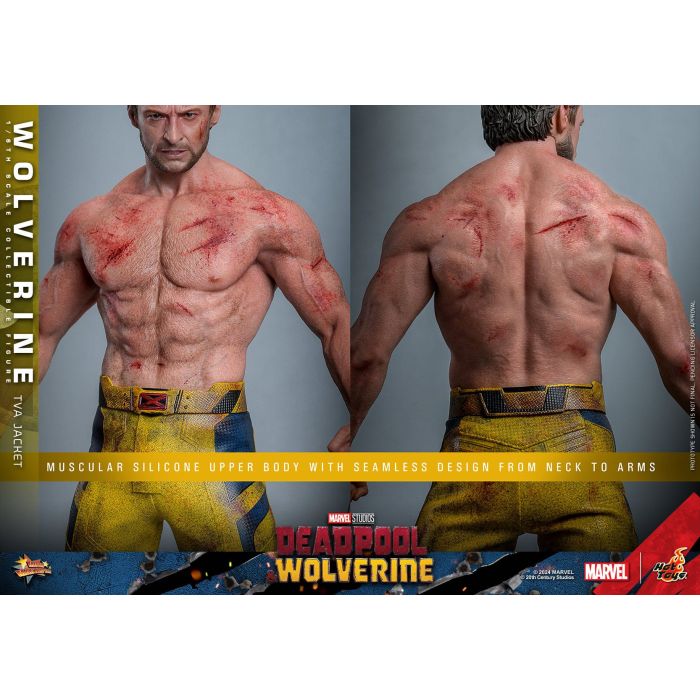 Wolverine (TVA Jacket Version) 1:6 Scale Figure - Hot Toys - Deadpool & Wolverine