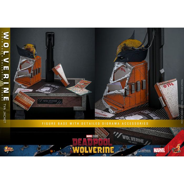 Wolverine (TVA Jacket Version) 1:6 Scale Figure - Hot Toys - Deadpool & Wolverine