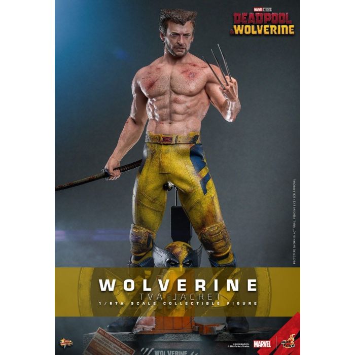 Wolverine (TVA Jacket Version) 1:6 Scale Figure - Hot Toys - Deadpool & Wolverine