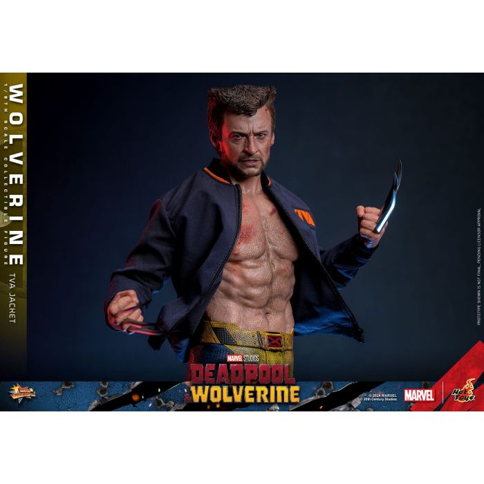 Wolverine (TVA Jacket Version) 1:6 Scale Figure - Hot Toys - Deadpool & Wolverine