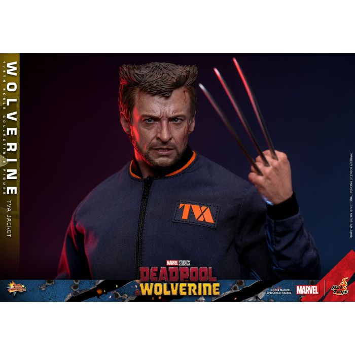 Wolverine (TVA Jacket Version) 1:6 Scale Figure - Hot Toys - Deadpool & Wolverine