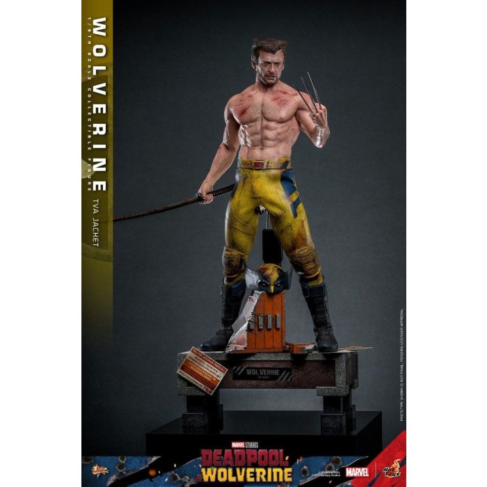 Wolverine (TVA Jacket Version) 1:6 Scale Figure - Hot Toys - Deadpool & Wolverine