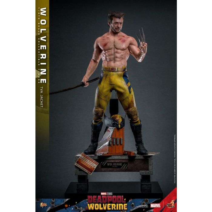 Wolverine (TVA Jacket Version) 1:6 Scale Figure - Hot Toys - Deadpool & Wolverine