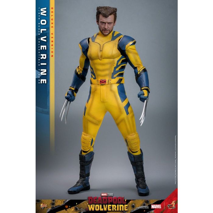 Wolverine Deluxe 1:6 Scale Figure - Hot Toys - Deadpool & Wolverine