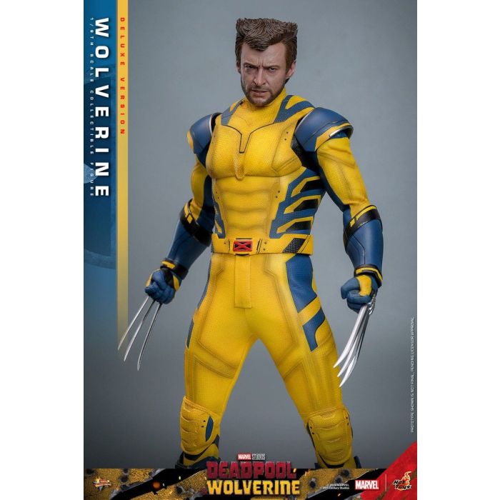 Wolverine Deluxe 1:6 Scale Figure - Hot Toys - Deadpool & Wolverine