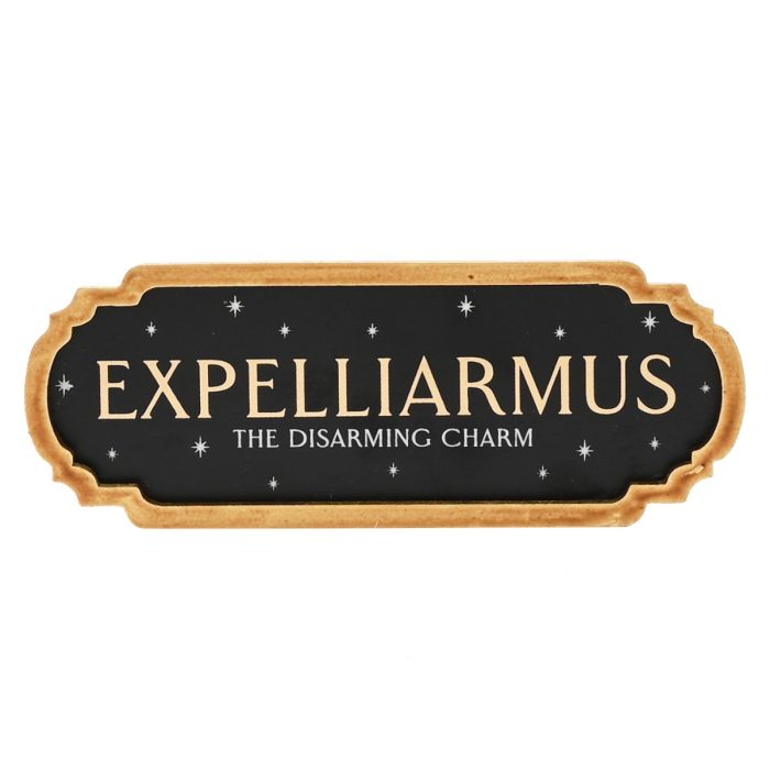 Harry Potter - Expelliarmus Wall Decoration