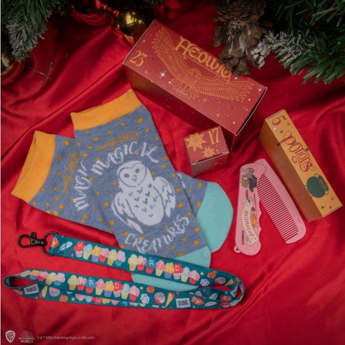 Hogwarts Deluxe Advent Calendar 2024 - Harry Potter