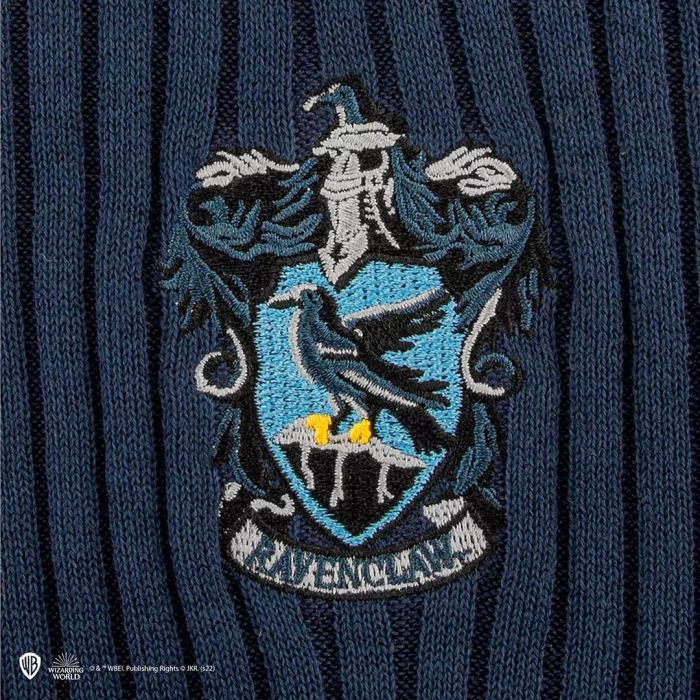 Harry Potter - Ravenclaw Quidditch Sweater / Trui