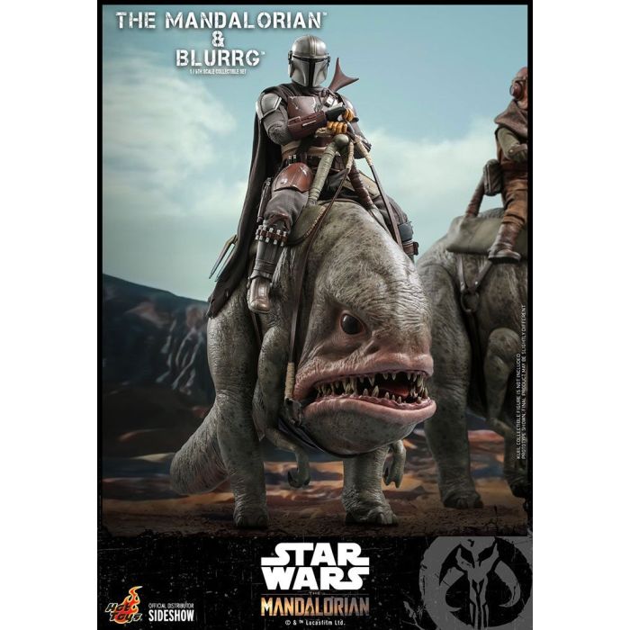Mandalorian & Blurrg 1:6 Scale Figure - Hot Toys - The Mandalorian