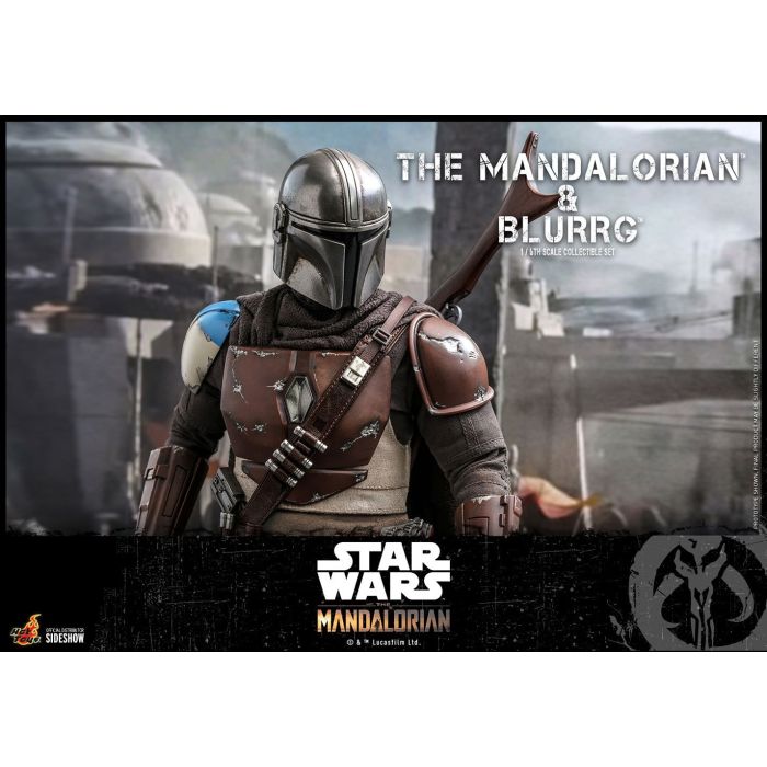 Mandalorian & Blurrg 1:6 Scale Figure - Hot Toys - The Mandalorian