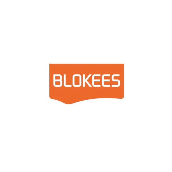 Transformers Blokees Plastic Model Kit Classic Class 13 Elita