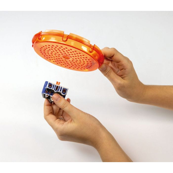 Stranger Things The Upside Down Terrarium