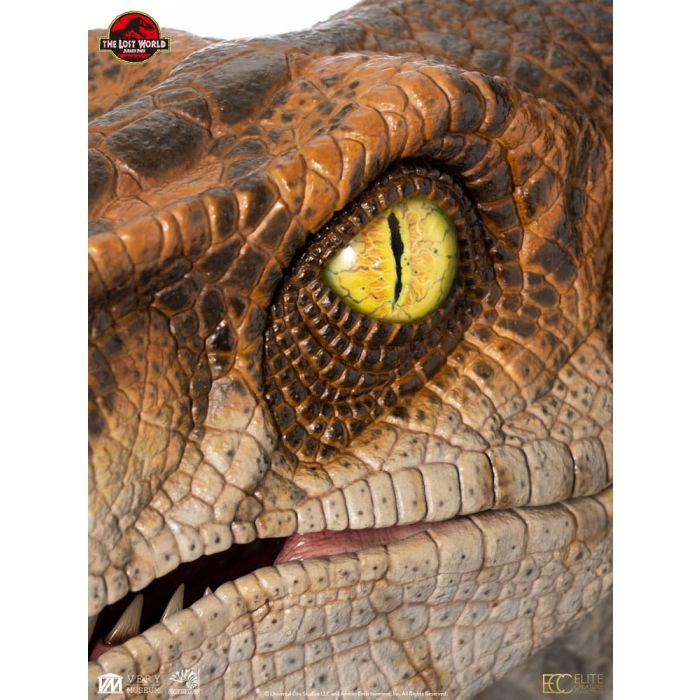 Jurassic Park Life-Size Bust Male Velociraptor 75 cm  