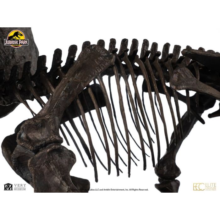 Jurassic World ECC Elite Creature Line Statue 1/12 Triceratops Fossil Skeleton Bronze 33 cm 