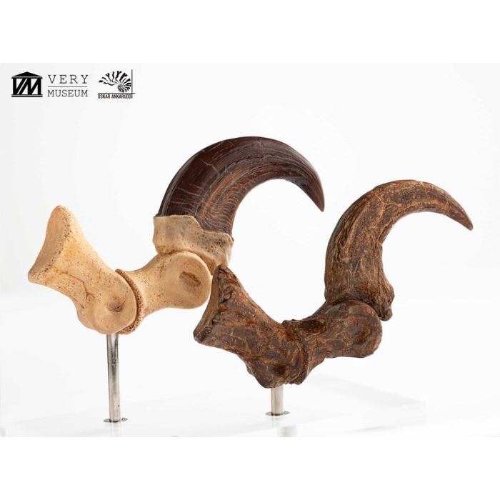 Jurassic Park ECC Elite Creature Line Statue Velociraptor Foot Claw and Fossil Claw Set 20 cm