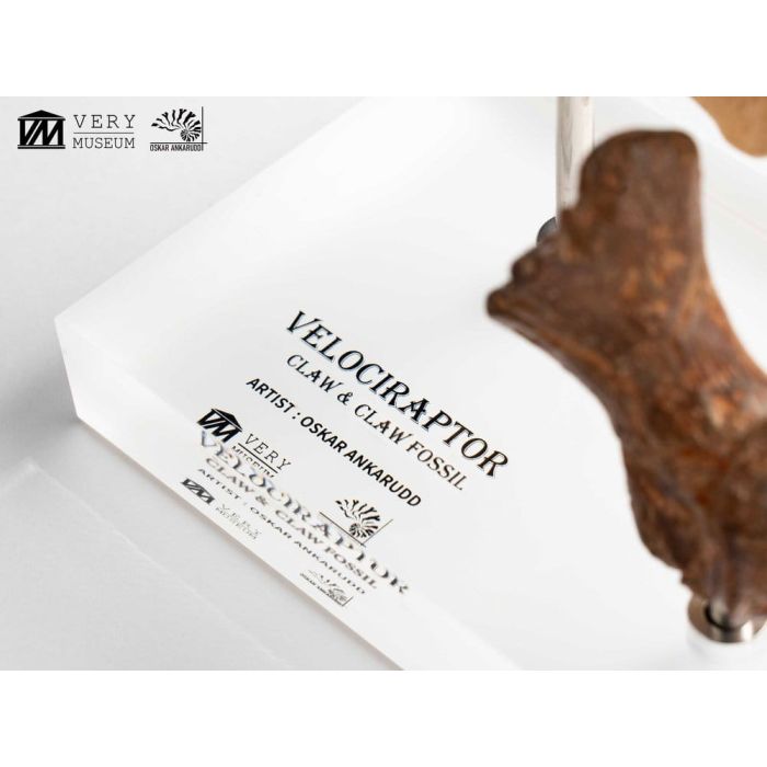 Jurassic Park ECC Elite Creature Line Statue Velociraptor Foot Claw and Fossil Claw Set 20 cm