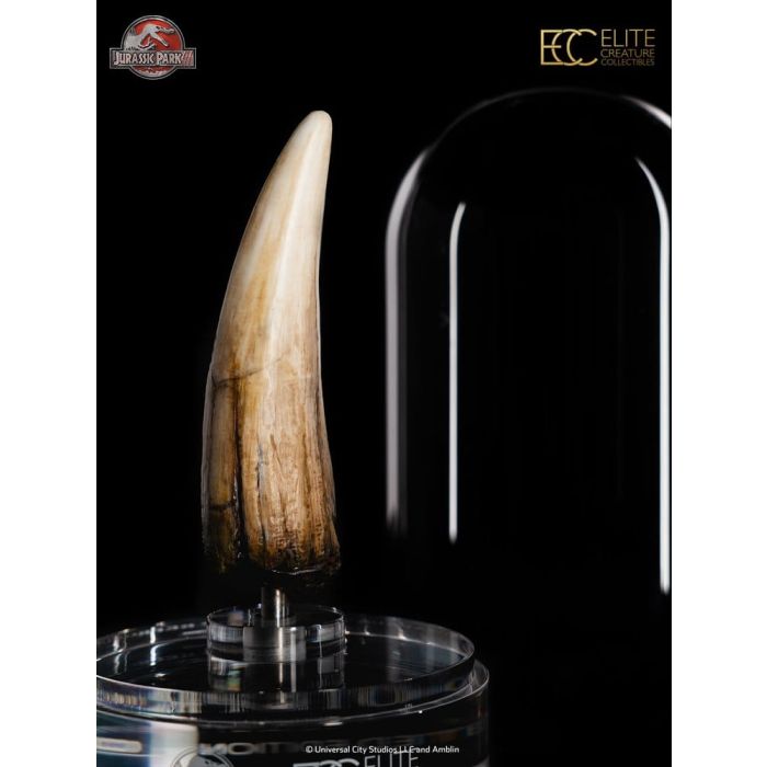 Jurassic Park III Prop Replica 1/1 Spinosaurus Tooth 14 cm