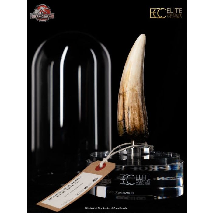 Jurassic Park III Prop Replica 1/1 Spinosaurus Tooth 14 cm