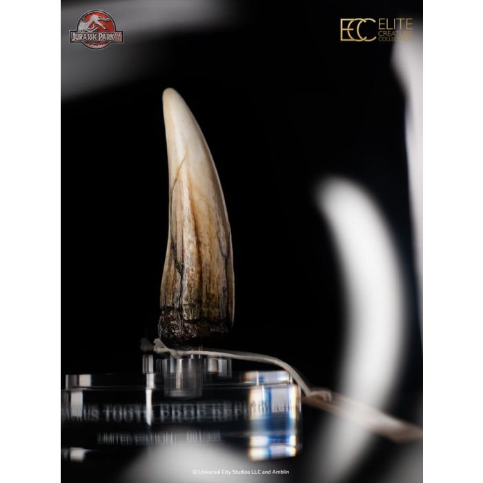 Jurassic Park III Prop Replica 1/1 Spinosaurus Tooth 14 cm