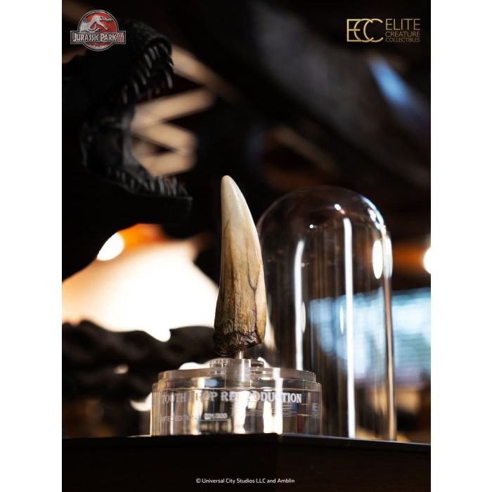 Jurassic Park III Prop Replica 1/1 Spinosaurus Tooth 14 cm