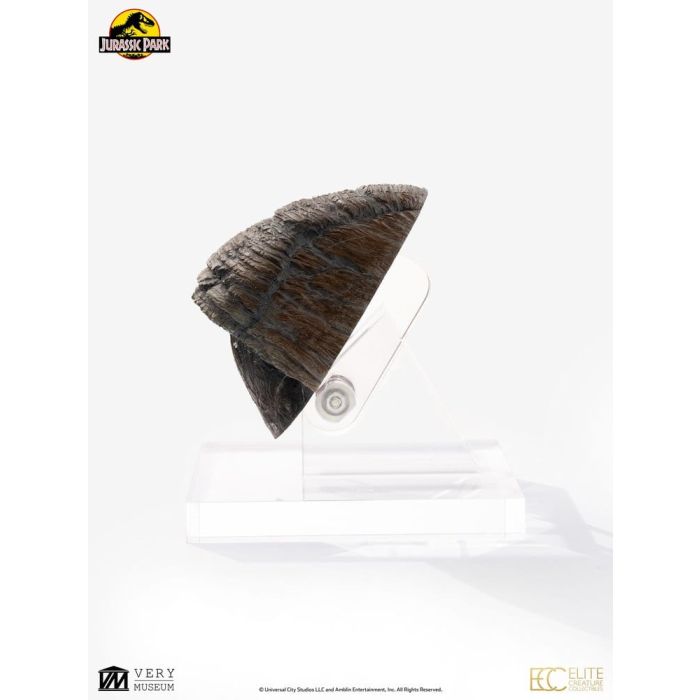 Jurassic Park 1/1 Replica Triceratops Toenail 16 cm
