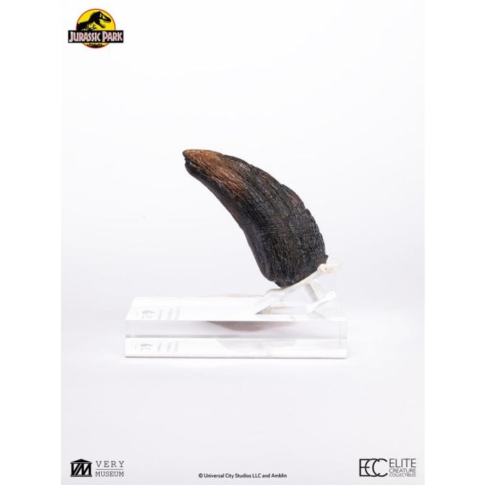 Jurassic Park 1/1 Replica Velociraptor Toenail Type A 11 cm