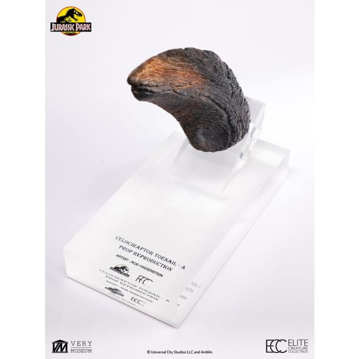 Jurassic Park 1/1 Replica Velociraptor Toenail Type A 11 cm