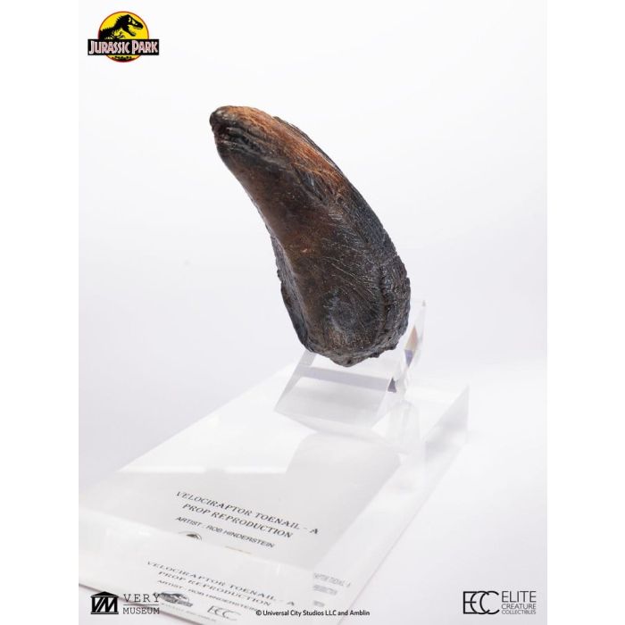 Jurassic Park 1/1 Replica Velociraptor Toenail Type A 11 cm