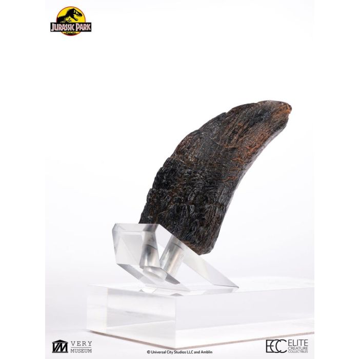 Jurassic Park 1/1 Replica Velociraptor Toenail Type A 11 cm