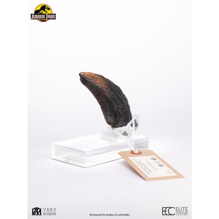 Jurassic Park 1/1 Replica Velociraptor Toenail Type A 11 cm