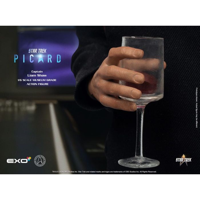 Star Trek: Picard Action Figure 1/6 Captain Liam Shaw 30 cm