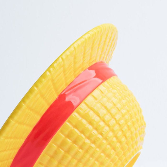 One Piece 3D Bowl Straw Hat