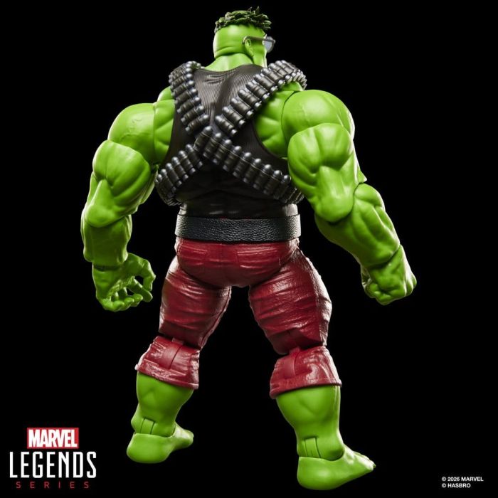 The Incredible Hulk Marvel Legends Action Figure Professor Hulk 15 cm